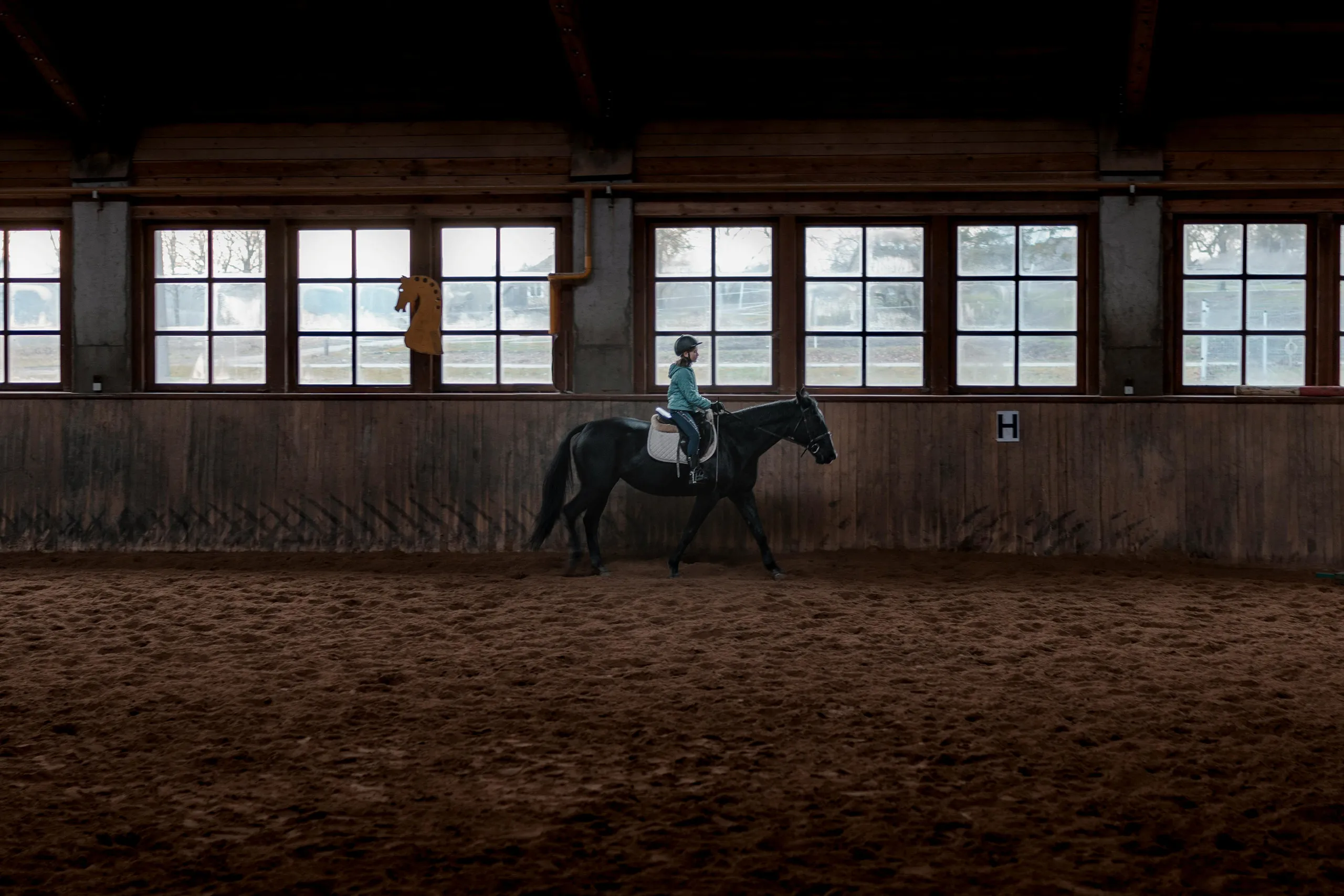 Equestrian